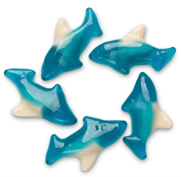 Requins bleus